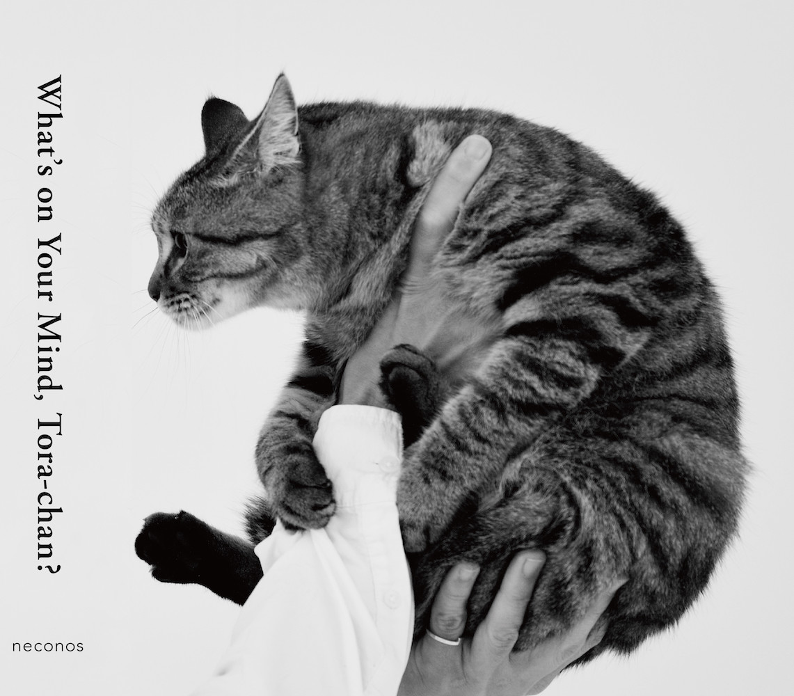 What'sonYourMind��Tora-Chan?�Ҥ����Ϥʤ˹ͤ��Ƥ�Ρ��ʥͥ��Υ���[�Ҽ�Ϻ]