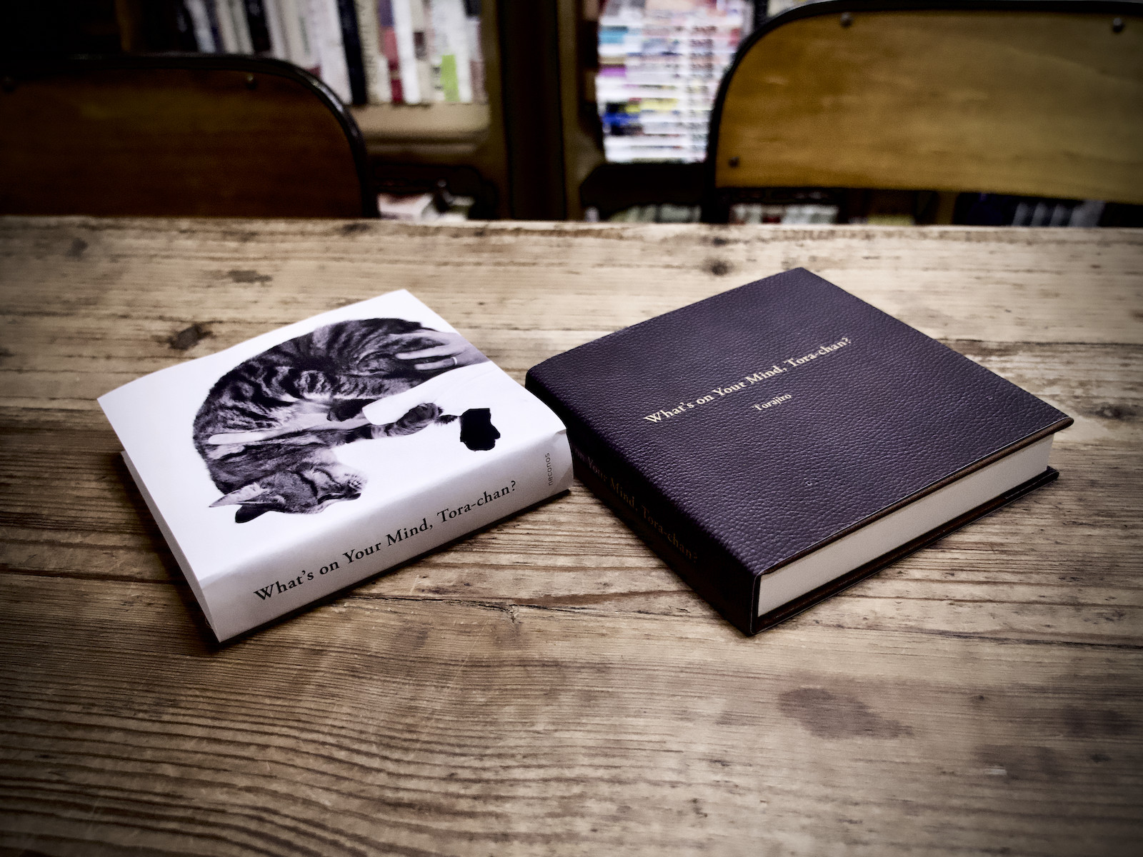 What'sonYourMind��Tora-Chan?�Ҥ����Ϥʤ˹ͤ��Ƥ�Ρ��ʥͥ��Υ���[�Ҽ�Ϻ]