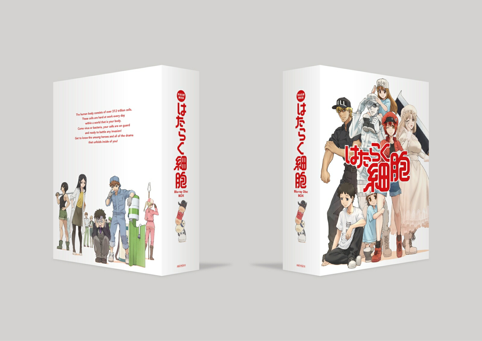 ブックス: はたらく細胞 Blu-ray Disc BOX【完全生産限定版】 【Blu-ray】 - 清水茜 - 4534530141491 : DVD