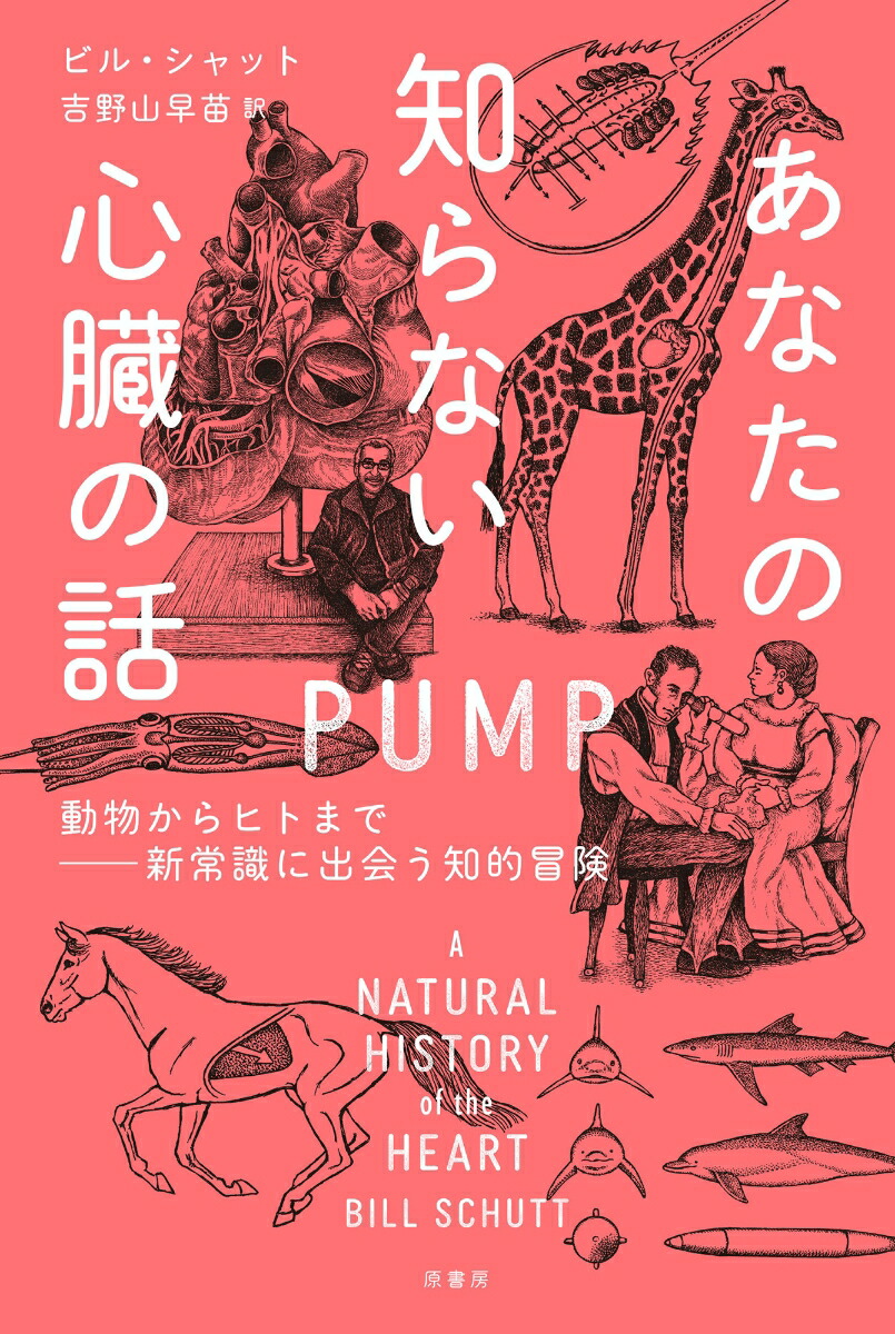 楽天ブックス あなたの知らない心臓の話 動物からヒトまでーー新常識に出会う知的冒険 ビル シャット 本