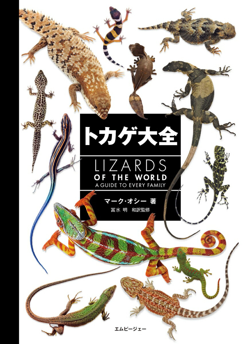 楽天市場】ディスカバリー 生き物・再発見 トカゲ大図鑑