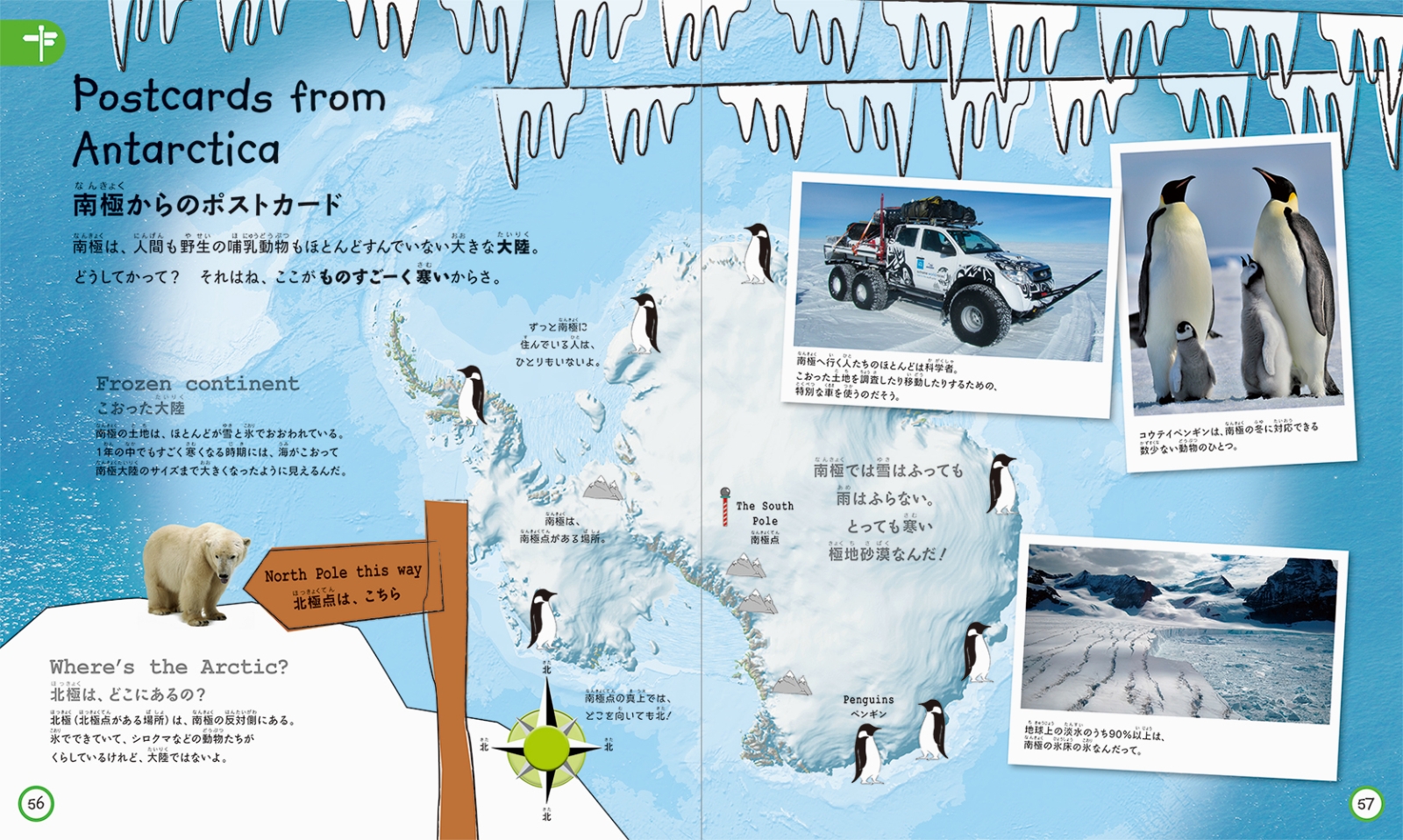 楽天ブックス これだけは知っておきたい こども図鑑 多摩六都科学館 本