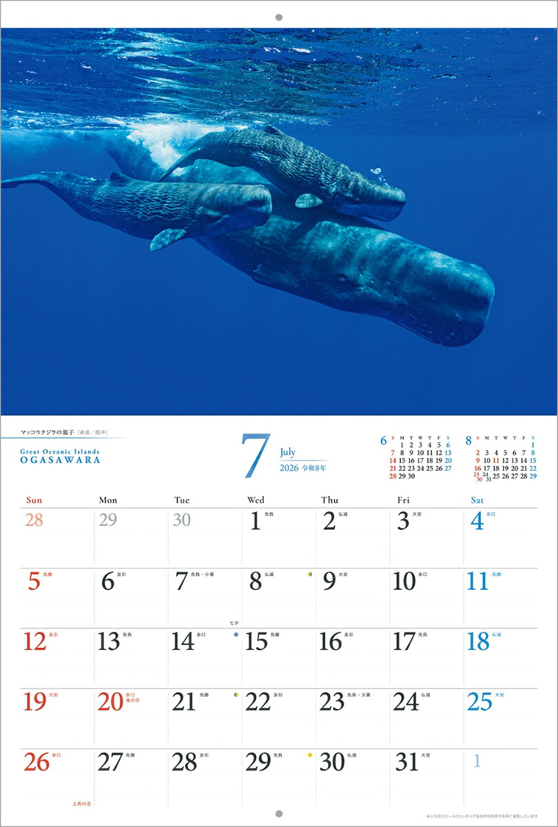 『小笠原諸島』2026カレンダー壁掛け風景【紙ホルダー付300×400】（写真工房カレンダー）[南俊夫]