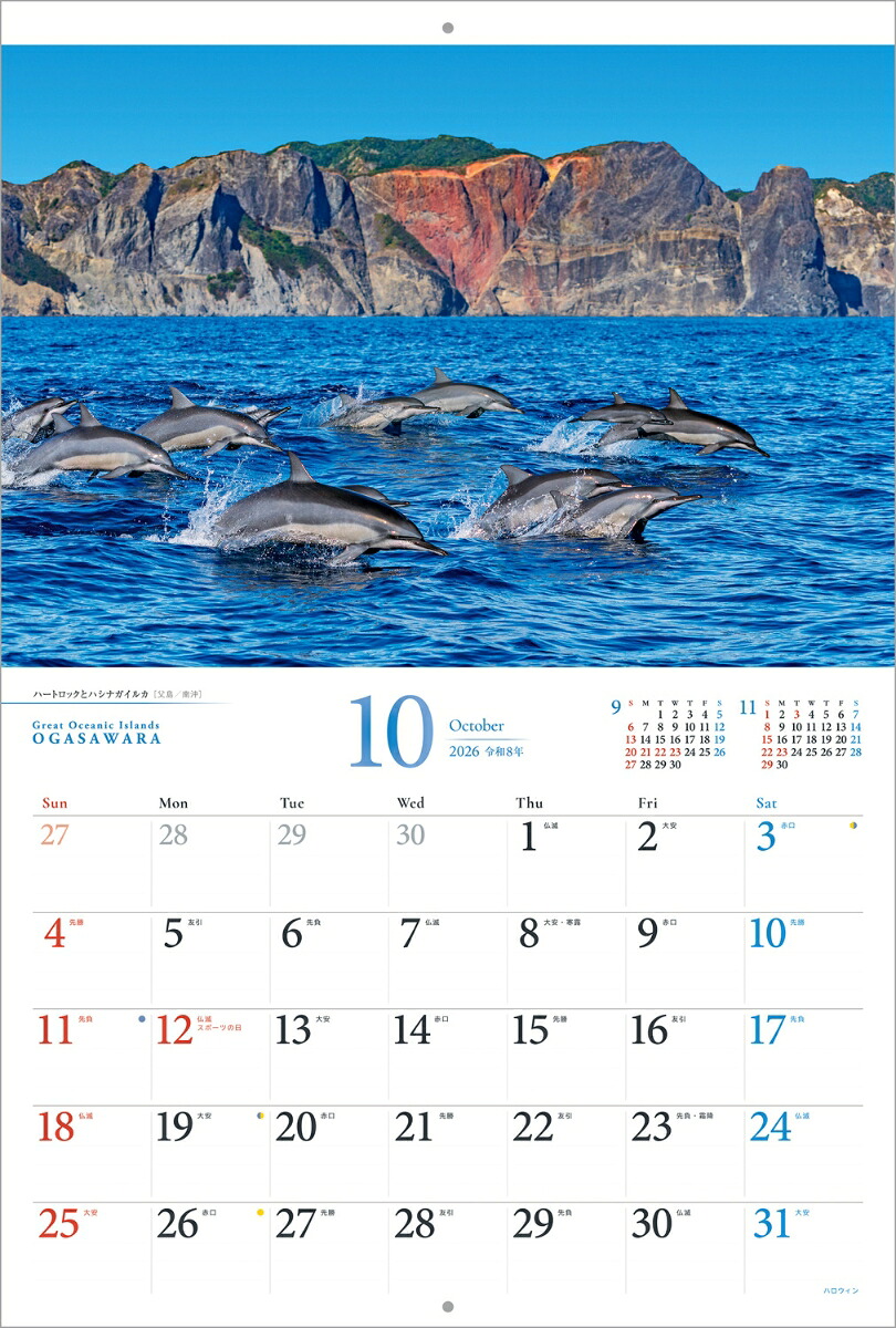 『小笠原諸島』2026カレンダー壁掛け風景【紙ホルダー付300×400】（写真工房カレンダー）[南俊夫]