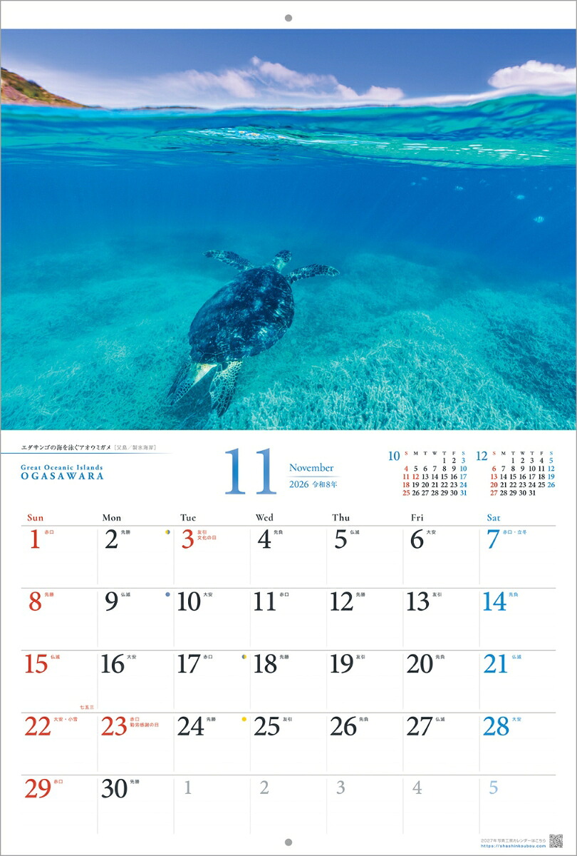 『小笠原諸島』2026カレンダー壁掛け風景【紙ホルダー付300×400】（写真工房カレンダー）[南俊夫]