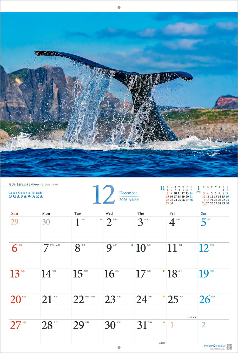 『小笠原諸島』2026カレンダー壁掛け風景【紙ホルダー付300×400】（写真工房カレンダー）[南俊夫]