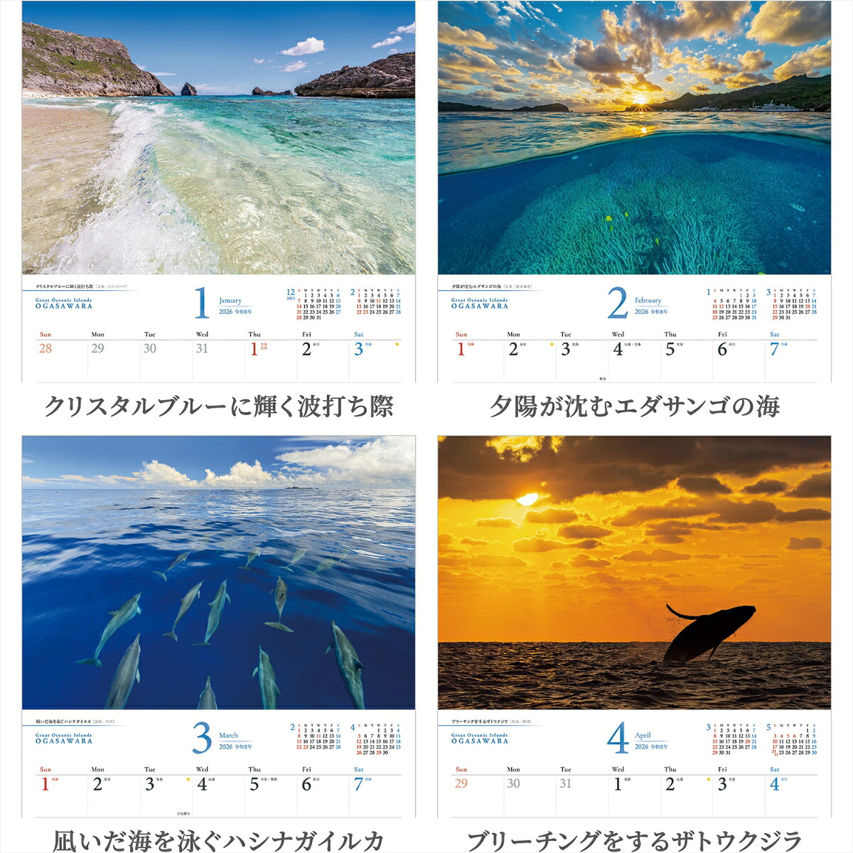 『小笠原諸島』2026カレンダー壁掛け風景【紙ホルダー付300×400】（写真工房カレンダー）[南俊夫]