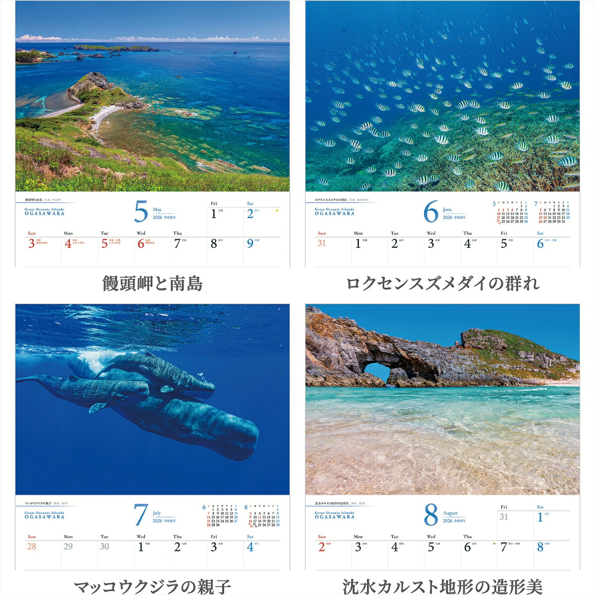 『小笠原諸島』2026カレンダー壁掛け風景【紙ホルダー付300×400】（写真工房カレンダー）[南俊夫]