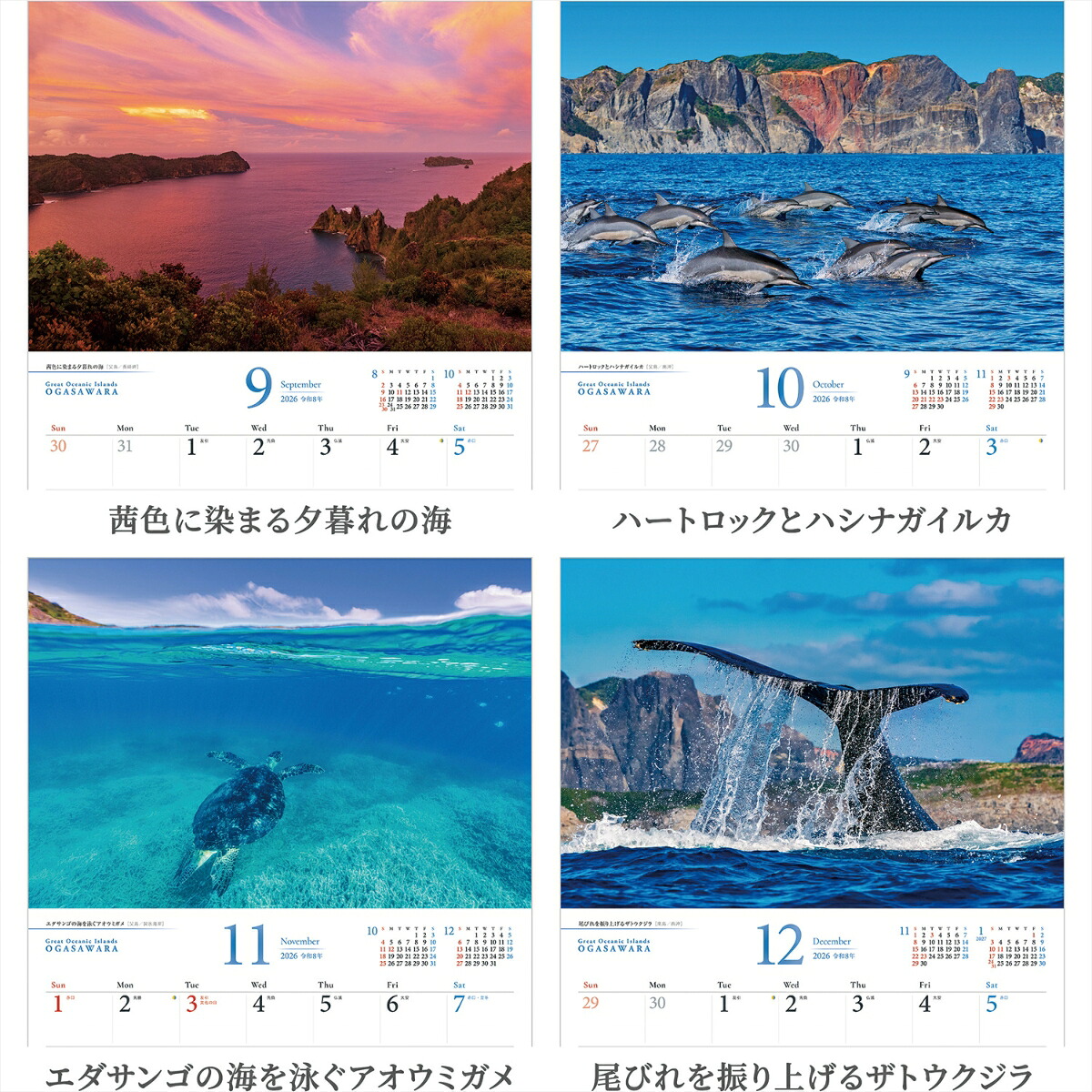 『小笠原諸島』2026カレンダー壁掛け風景【紙ホルダー付300×400】（写真工房カレンダー）[南俊夫]