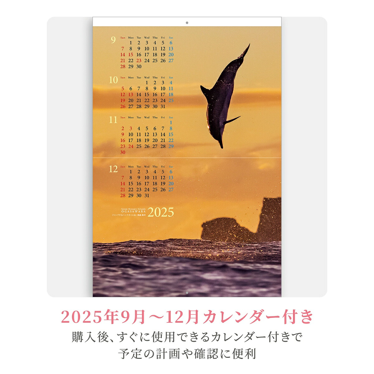 『小笠原諸島』2026カレンダー壁掛け風景【紙ホルダー付300×400】（写真工房カレンダー）[南俊夫]