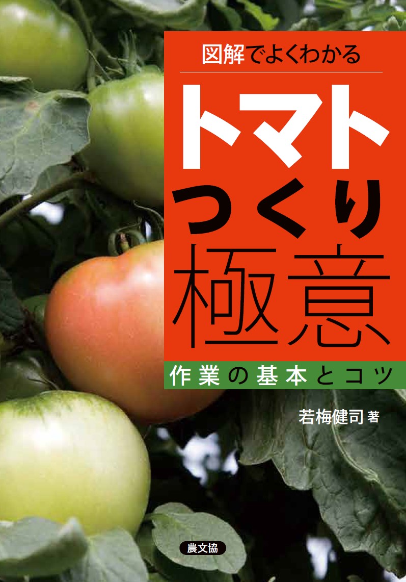 楽天ブックス: トマトつくり極意 作業の基本とコツ 若梅健司 9784540161537 本