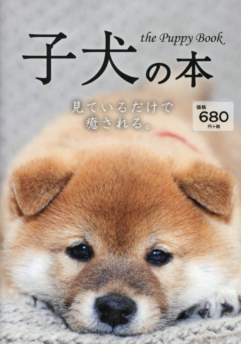 楽天ブックス 子犬の本 本