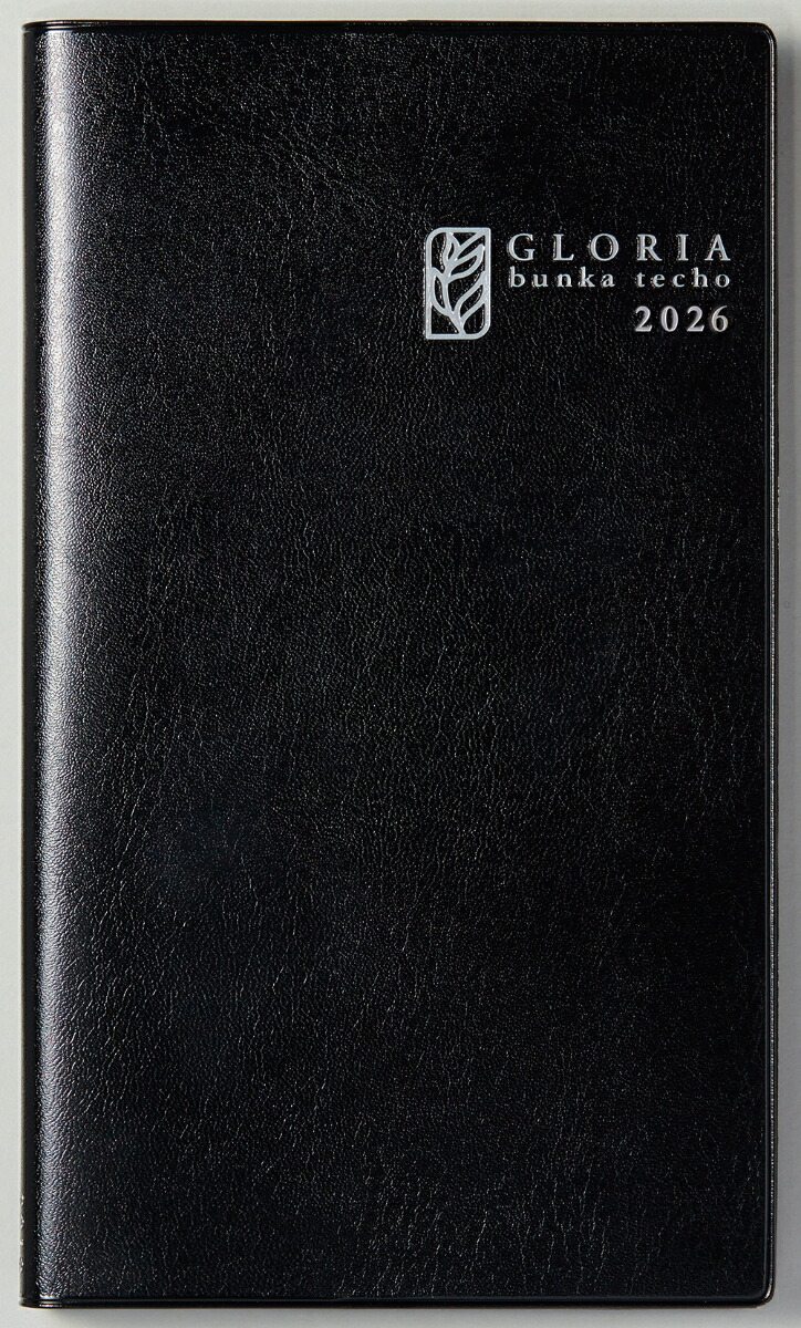 ʸ����ġ�����ꥢ2026