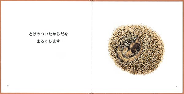 どうやってみをまもるのかな（幼児絵本シリーズ）[やぶうちまさゆき]