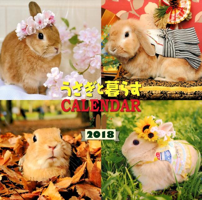 楽天ブックス うさぎと暮らすカレンダー 18 本