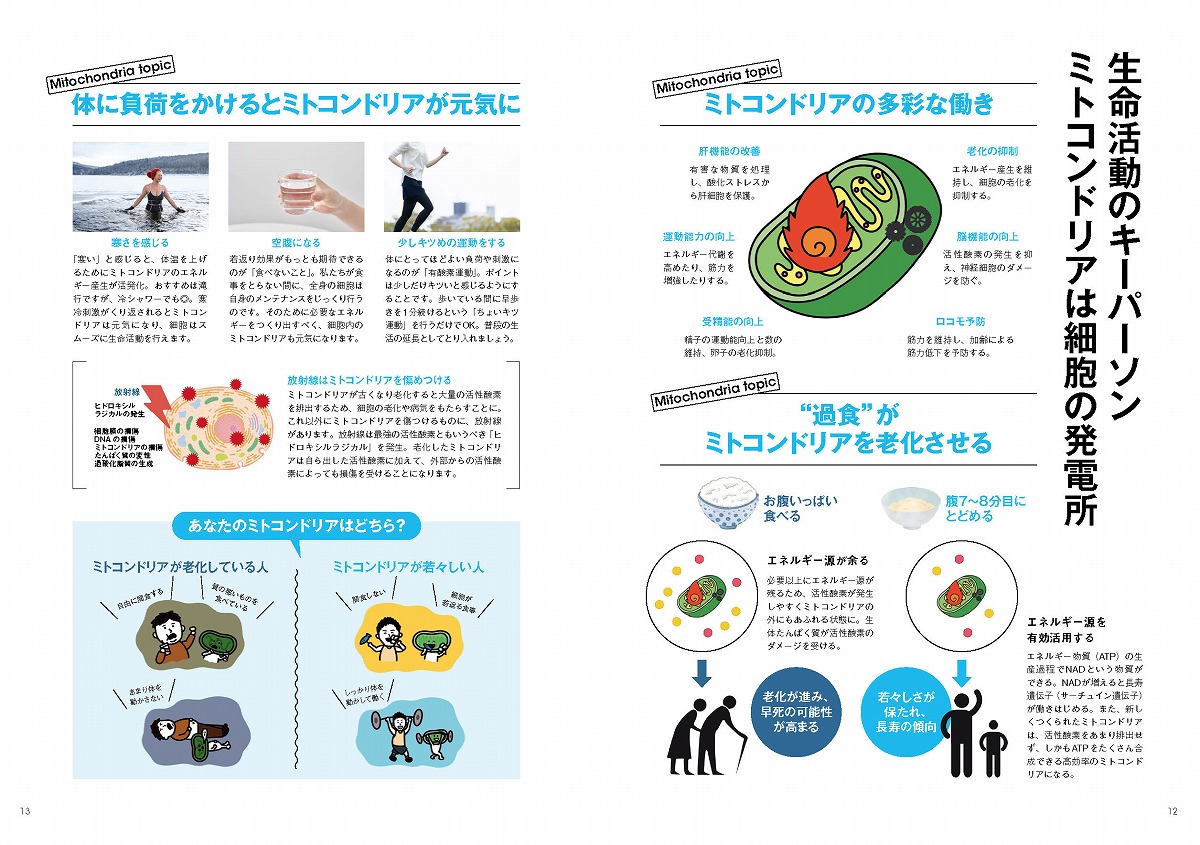 細胞レベルで老けない!最強の食事（TJMOOK）[山田豊文]