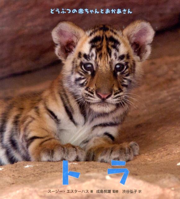 楽天ブックス トラ スージー エスターハス 本