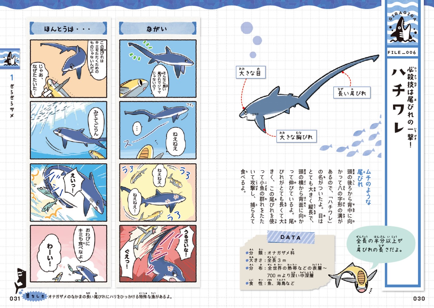 楽天ブックス ゆるゆるサメ図鑑 アクアワールド茨城県大洗水族館 本 楽天ブックス ゆるゆるサメ図鑑 アクアワールド茨城県大洗水族館 本