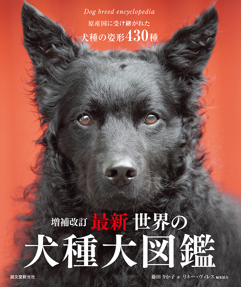 楽天ブックス 増補改訂 最新 世界の犬種大図鑑 原産国に受け継がれた犬種の姿形 430種 藤田 りか子 本