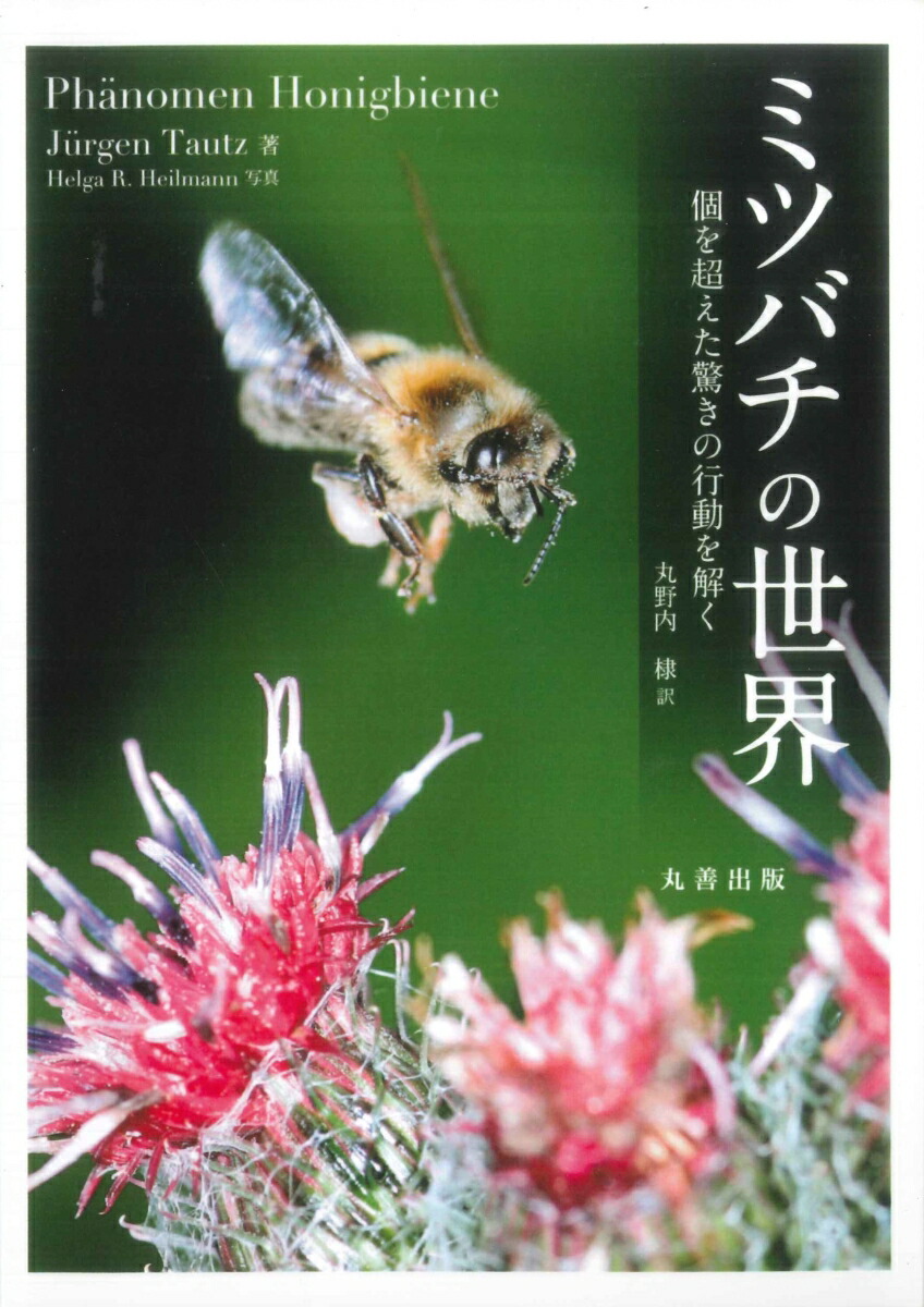 楽天ブックス: ミツバチの世界 - 個を超えた驚きの行動を解く