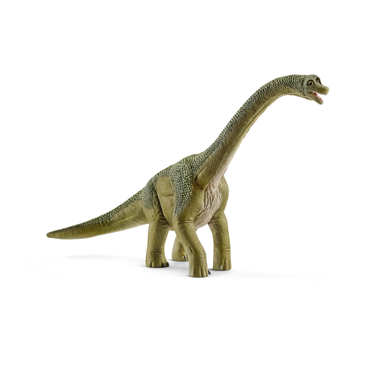 楽天ブックス: 14581 ブラキオサウルス 【シュライヒ】 DINOSAURS/恐竜 