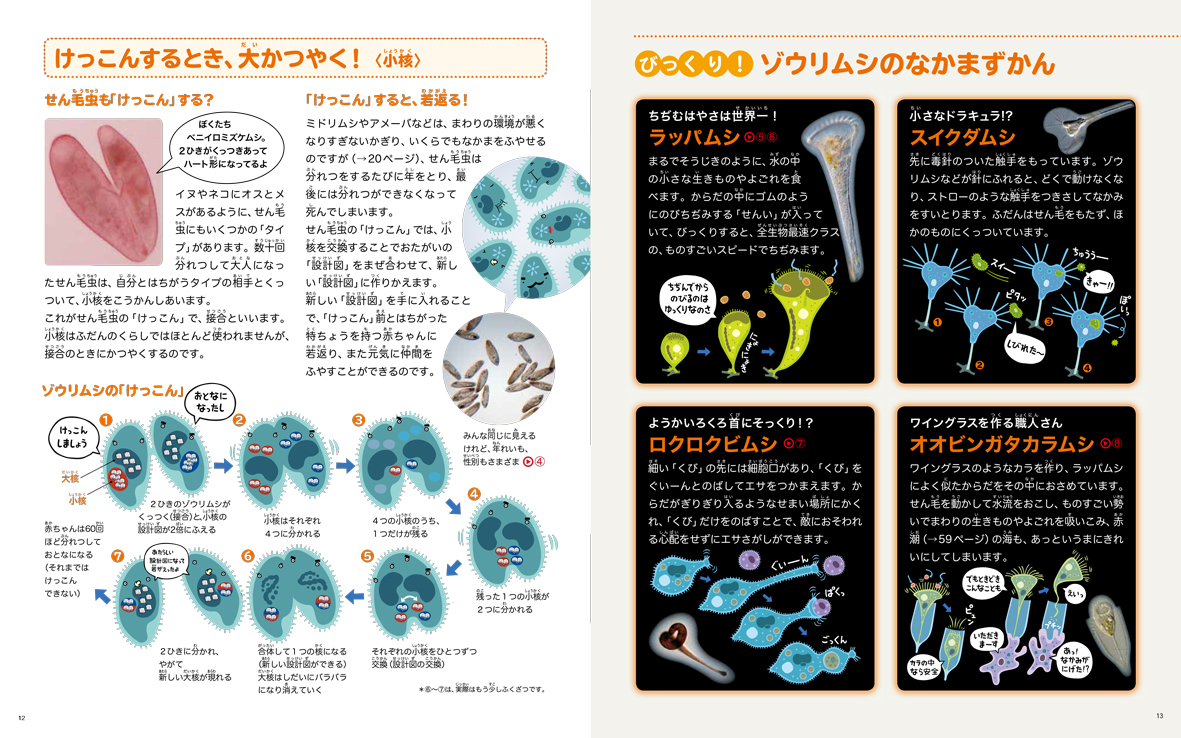 楽天ブックス おもしろミクロ生物の世界 ミジンコ アメーバ