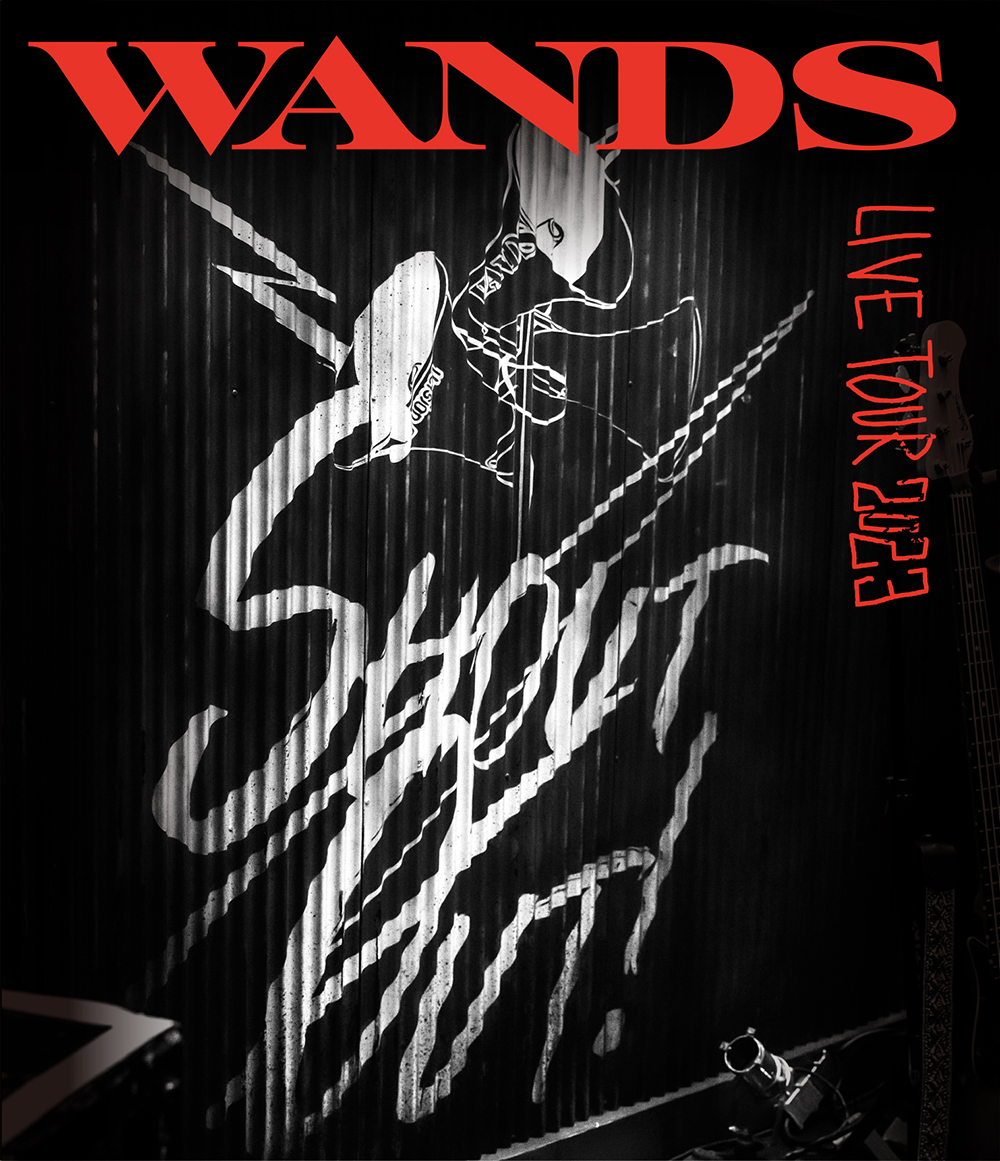 楽天ブックス: WANDS Live Tour 2023 ～SHOUT OUT！～【Blu-ray 