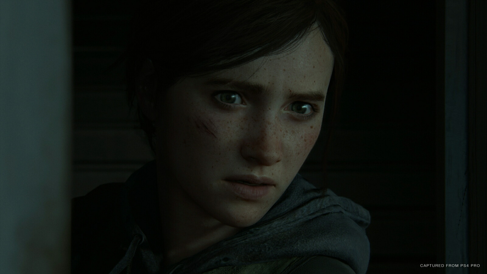 TheLastofUsPartII