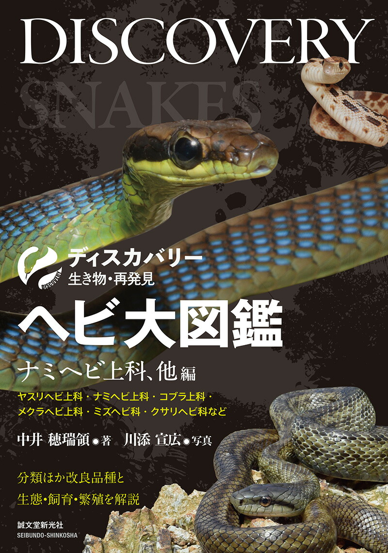 楽天ブックス ヘビ大図鑑 ナミヘビ上科 他編 分類ほか改良品種と生態 飼育 繁殖を解説 中井 穂瑞領 本