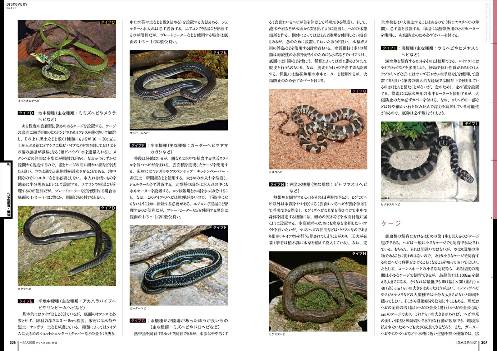 楽天ブックス ヘビ大図鑑 ナミヘビ上科 他編 分類ほか改良品種と生態 飼育 繁殖を解説 中井 穂瑞領 本