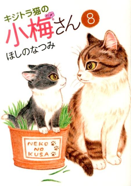 楽天ブックス キジトラ猫の小梅さん 8 ほしのなつみ 本