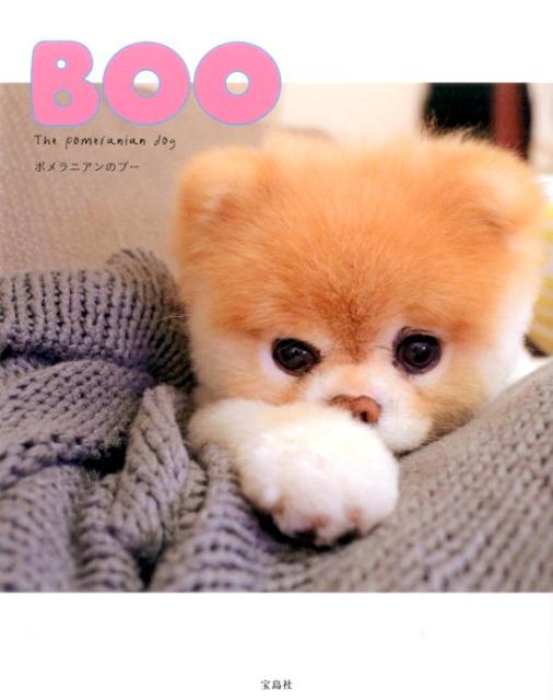 楽天ブックス Boo ポメラニアンのブー 本