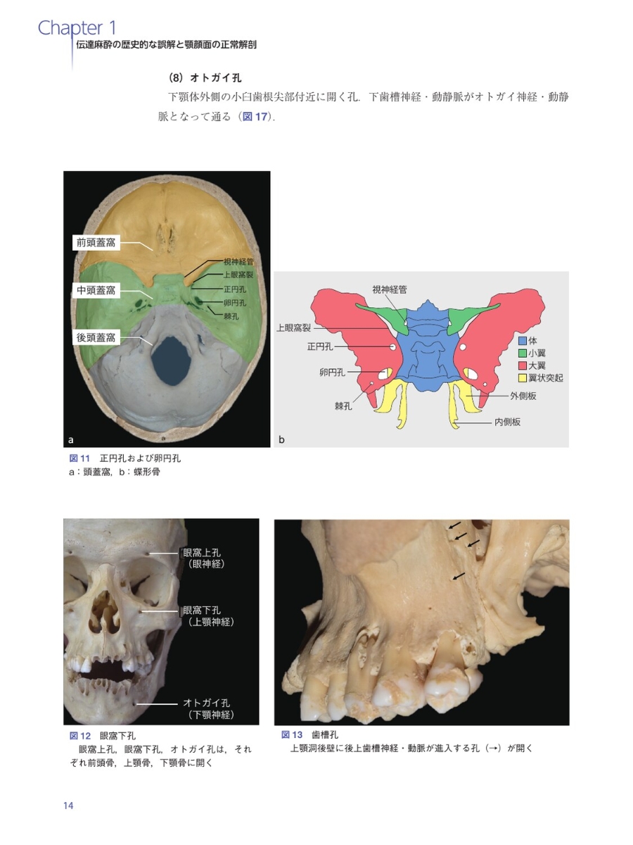 楽天ブックス エビデンスと解剖に基づいた臨床歯科麻酔学 岩永譲 本