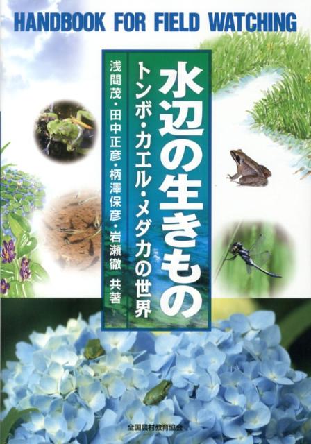 楽天ブックス 水辺の生きもの トンボ カエル メダカの世界 浅間茂 本