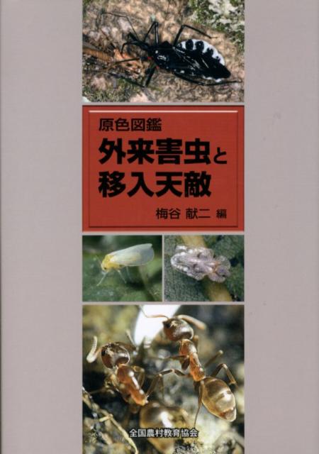 賲ȰŷŨ޴[ë]