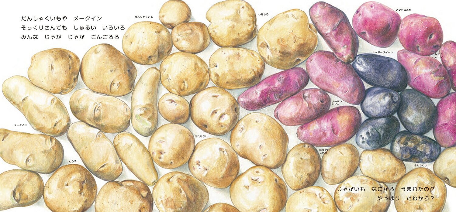 󤴤㤬ʤɡȤ䤵[蘆椦]