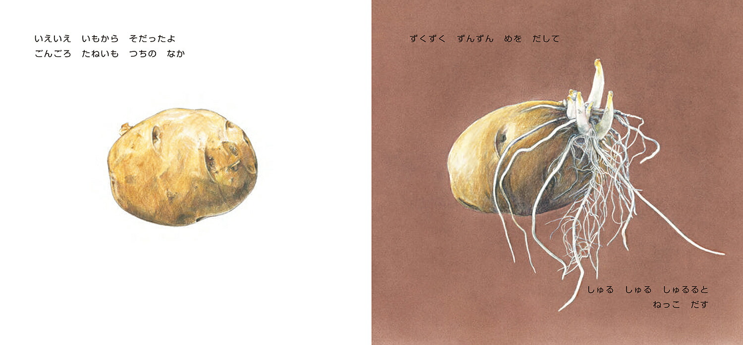 󤴤㤬ʤɡȤ䤵[蘆椦]