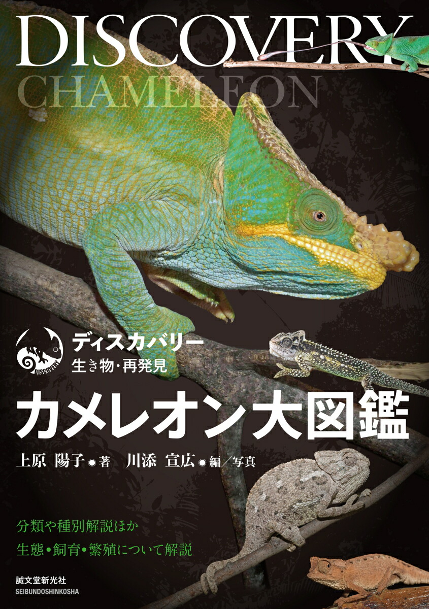 ディスカバリー 大図鑑 イグアナ下目編 ディスカバリー 生き物・再発見 トカゲ大図鑑 イグアナ下目編 誠