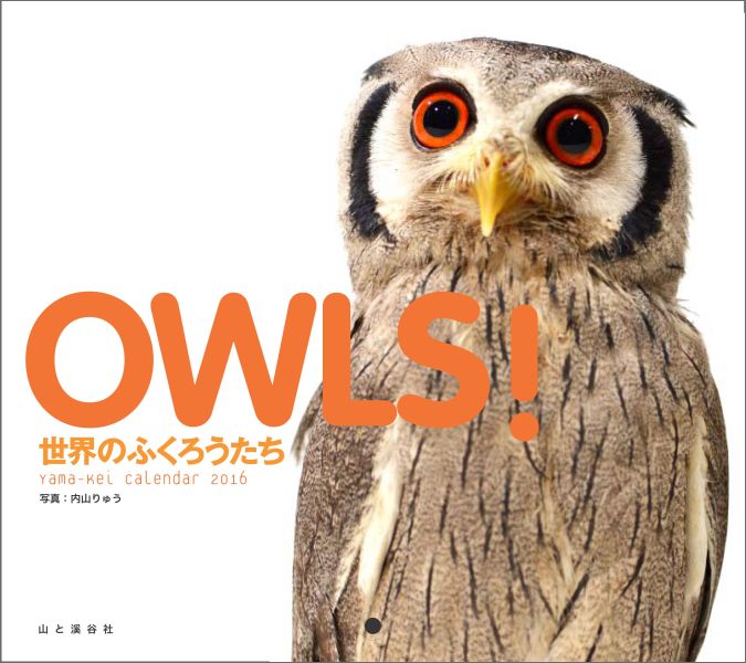 楽天ブックス Owls世界のふくろうたちカレンダー 16 内山りゅう 本