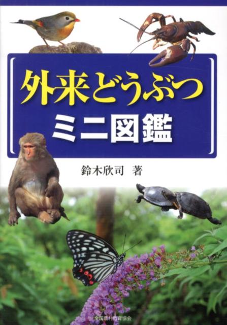ɤ֤ĥߥ˿޴[ڶջ]