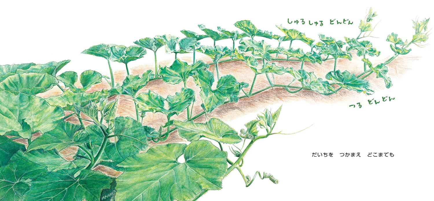 ɤǤǤ󤫤ܤʤɡȤ䤵[蘆椦]