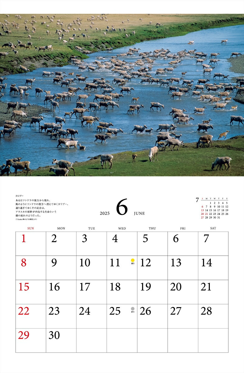 ƻץ٥ȥ쥯̤ưʪ2025ˡʡΥϡ