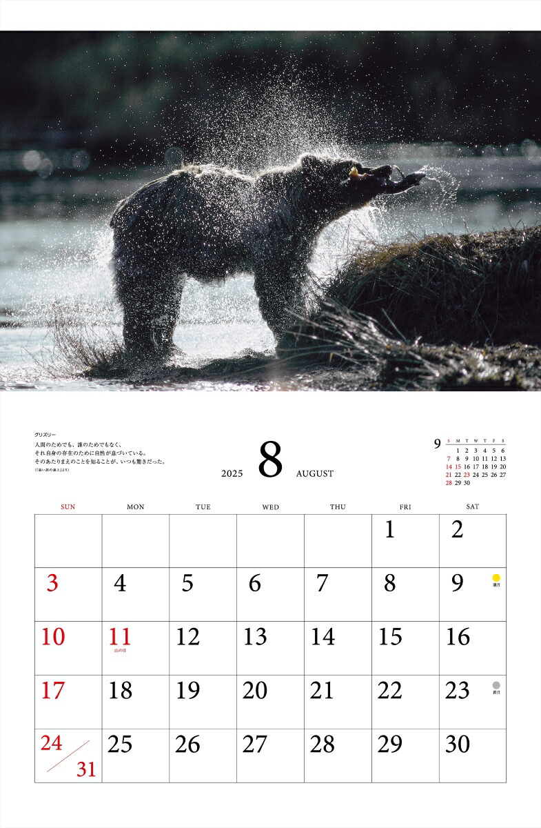 ƻץ٥ȥ쥯̤ưʪ2025ˡʡΥϡ