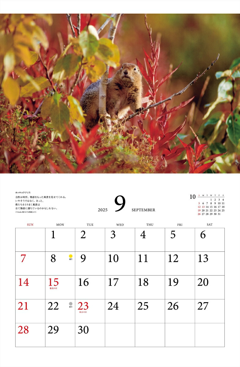 ƻץ٥ȥ쥯̤ưʪ2025ˡʡΥϡ