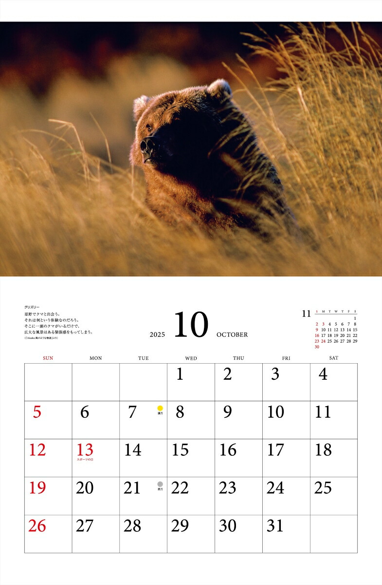 ƻץ٥ȥ쥯̤ưʪ2025ˡʡΥϡ