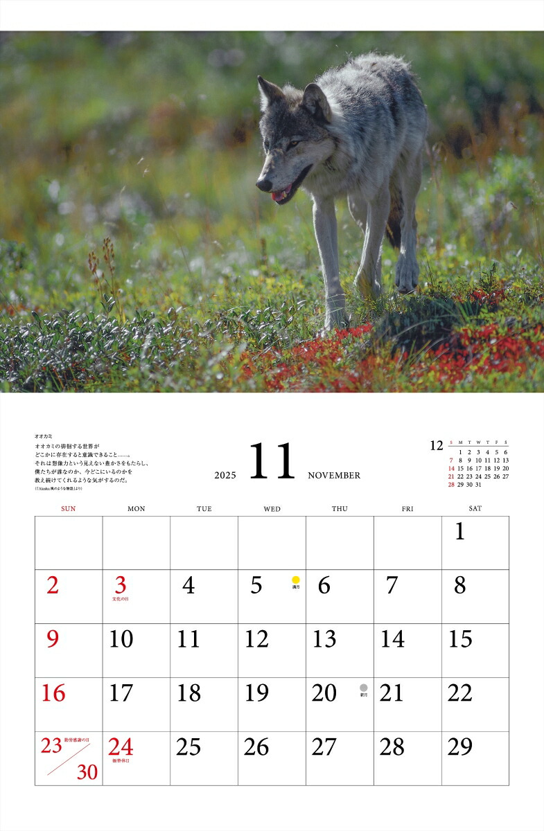 ƻץ٥ȥ쥯̤ưʪ2025ˡʡΥϡ