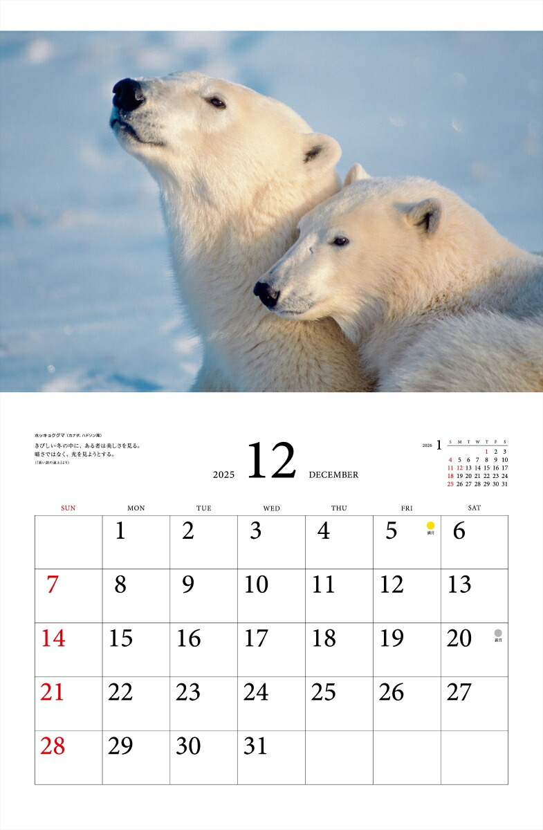 ƻץ٥ȥ쥯̤ưʪ2025ˡʡΥϡ