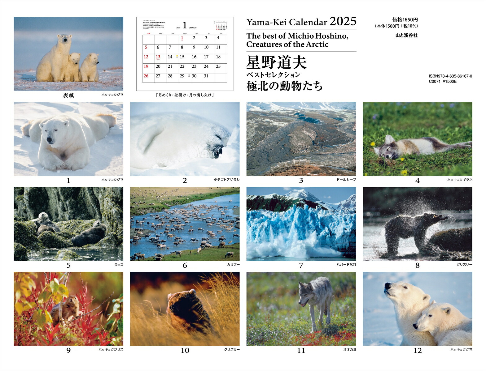 ƻץ٥ȥ쥯̤ưʪ2025ˡʡΥϡ