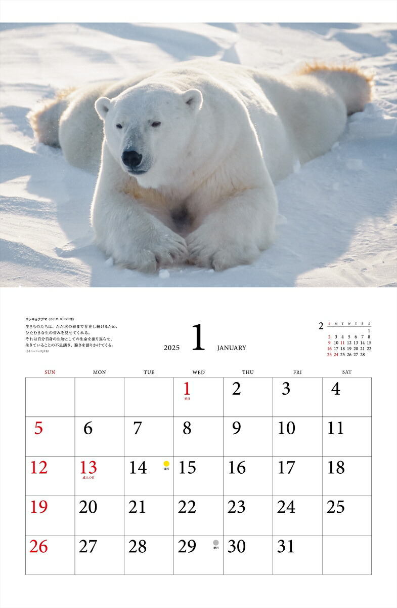 ƻץ٥ȥ쥯̤ưʪ2025ˡʡΥϡ