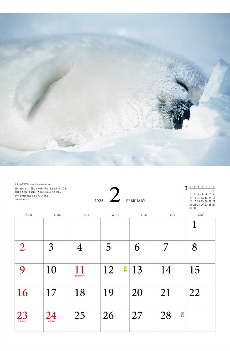 ƻץ٥ȥ쥯̤ưʪ2025ˡʡΥϡ